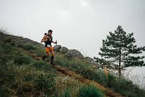 BIB: 
                            <button type="button" onclick="openModal(25996159)" class="btn btn-primary btn-sm float-right btn-popup" data-toggle="modal" data-target=".modal-high-quality">
                        <i class="fas fa-shopping-cart"></i> Add to Cart
                    </button>
                                            <button type="button" onclick="isThisMe(25996159, true)" class="btn btn-success btn-sm float-right btn-popup btn-isme hidden" data-toggle="tooltip" data-placement="bottom" title="นี่คือรูปของคุณใช่ไหม คลิกที่นี่เพื่อเอาเข้าอัลบั้ม">
                        <i class="fas fa-plus"></i> Add to album
                    </button>
                    <button type="button" onclick="isThisMe(25996159, false)" class="btn btn-warning btn-sm float-right btn-popup btn-isnotme hidden">
                        <i class="fas fa-ban"></i> Remove from album
                    </button>